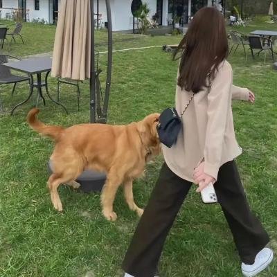 纽约爱情拼图
